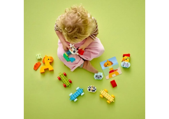 LEGO 10412_5